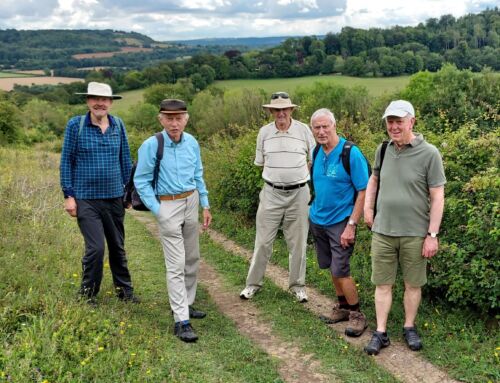 The July walk around Shoreham